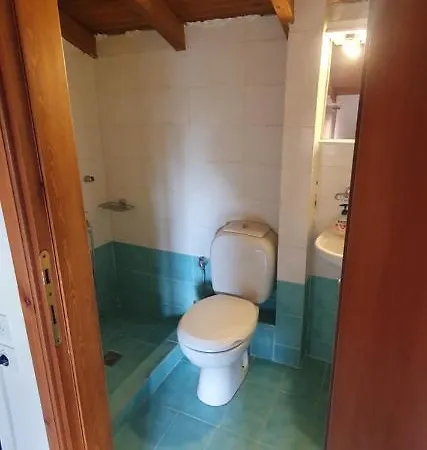 Nikol Elani * Siviri